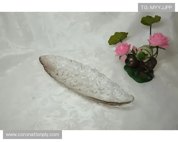 凯发线上app下载网址官方平台，详细步骤帮助新手快速上手