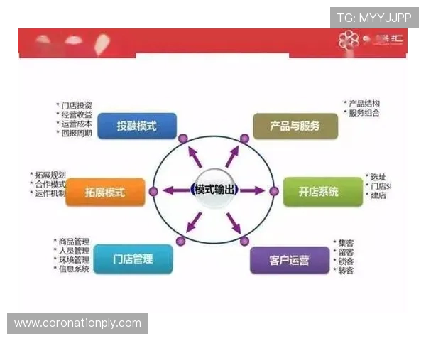 速盈中国：揭示领先企业在快速盈利方面的成功案例与经验